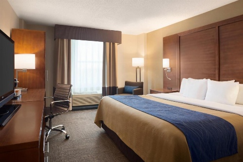 Comfort Inn & Suites Presidential image 5